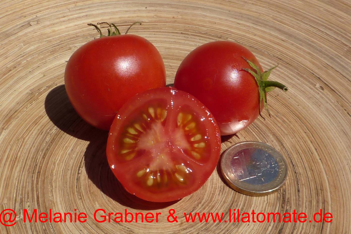 Tomate '42 Days, Mainz' 