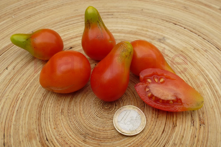 Tomate 'Birnenförmige rote Cocktailtomate' 